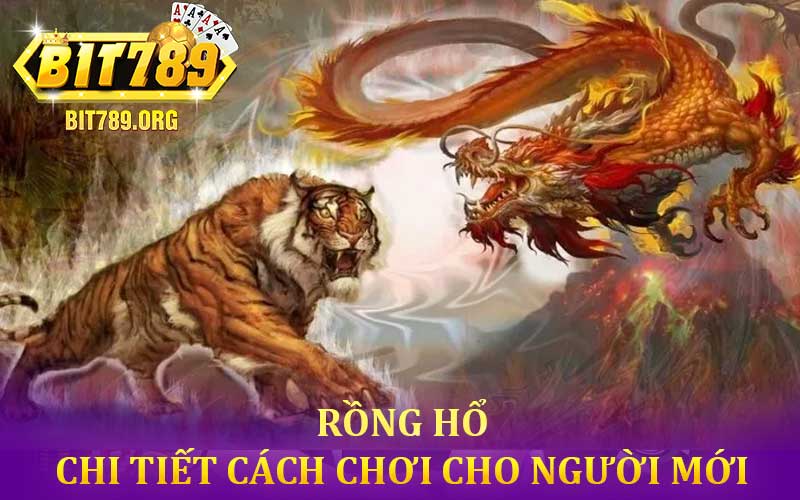 Rồng Hổ tại Bit789
